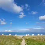 In Mit Eingezäuntem Gartenbereich Für Hunde