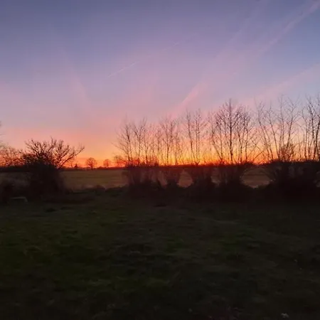 Nyaraló In Mit Eingezaeuntem Gartenbereich Fuer Hunde Kronsgaard