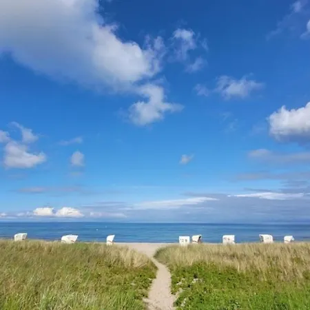 In Mit Eingezaeuntem Gartenbereich Fuer Hunde