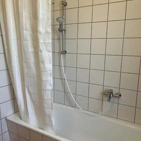 In Mit Eingezaeuntem Gartenbereich Fuer Hunde