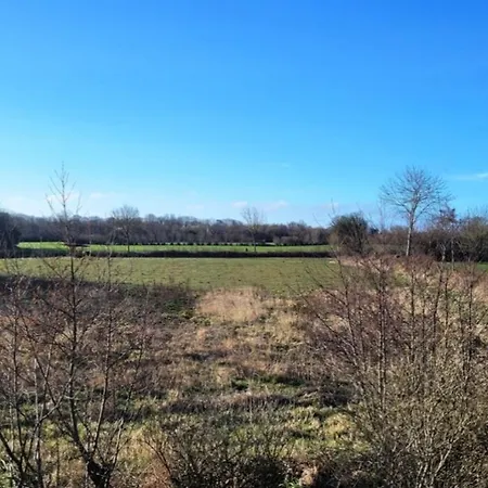 Nyaraló In Mit Eingezaeuntem Gartenbereich Fuer Hunde