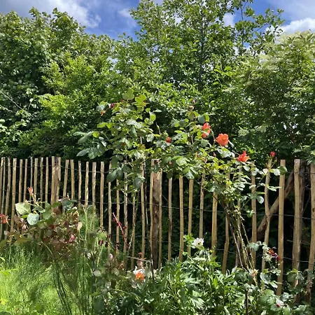 In Mit Eingezaeuntem Gartenbereich Fuer Hunde 別荘
